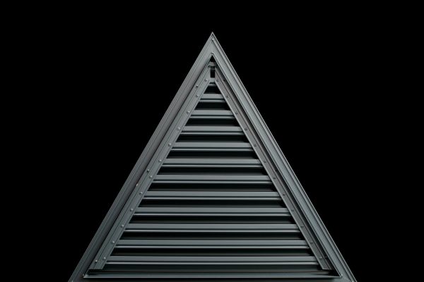 triangle_black_back_9071E7044CA0-FE60-9336-2C85-9BCD57188DB1.jpg